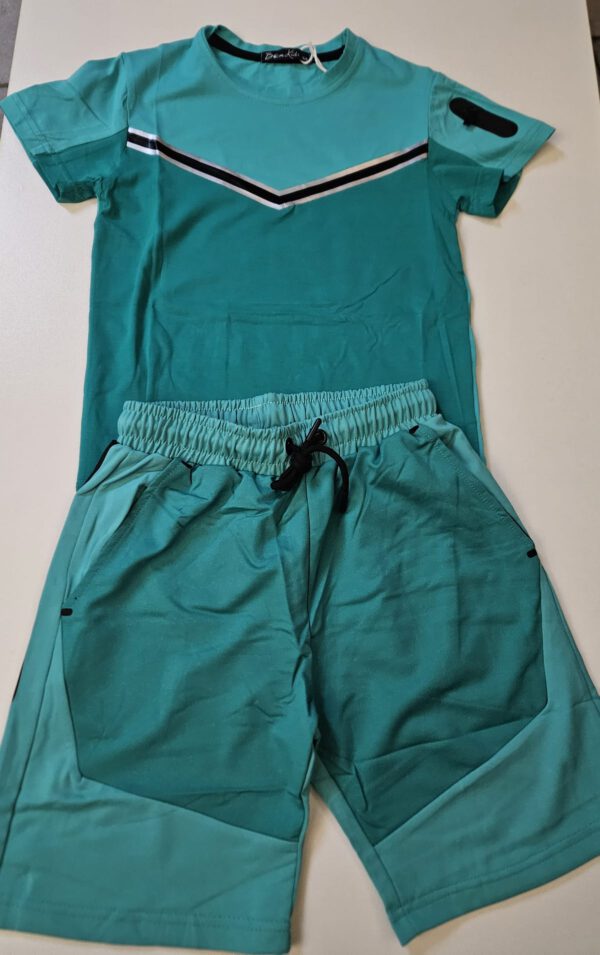 Icon|Zomerset|Groen|